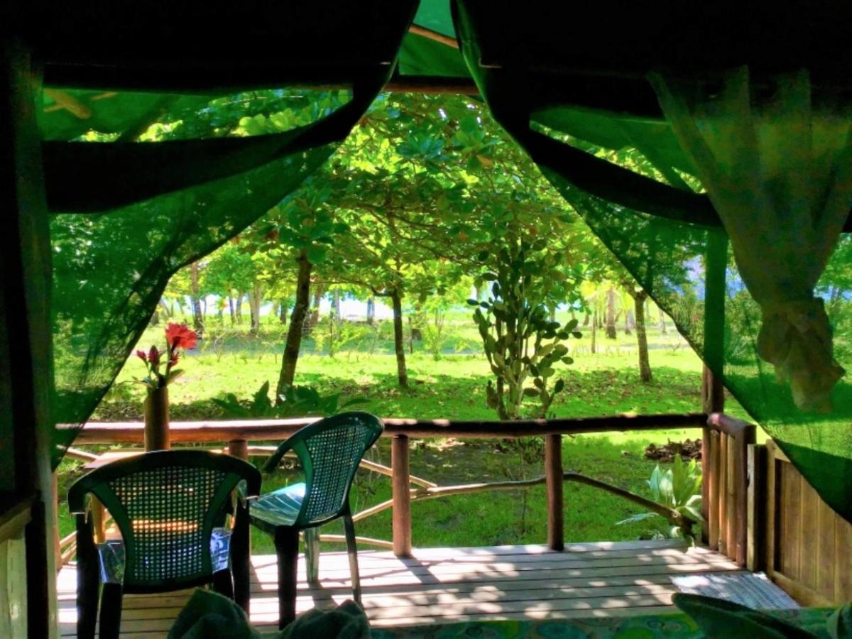 Waleskas Place Bed & Breakfast Puerto Jiménez Dış mekan fotoğraf